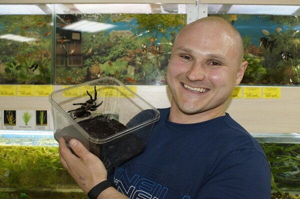 Максим Лола, 2017 г. 