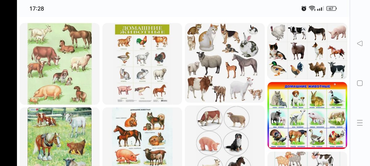 Запрос в Яндексе "домашние животные пособие для детей"
