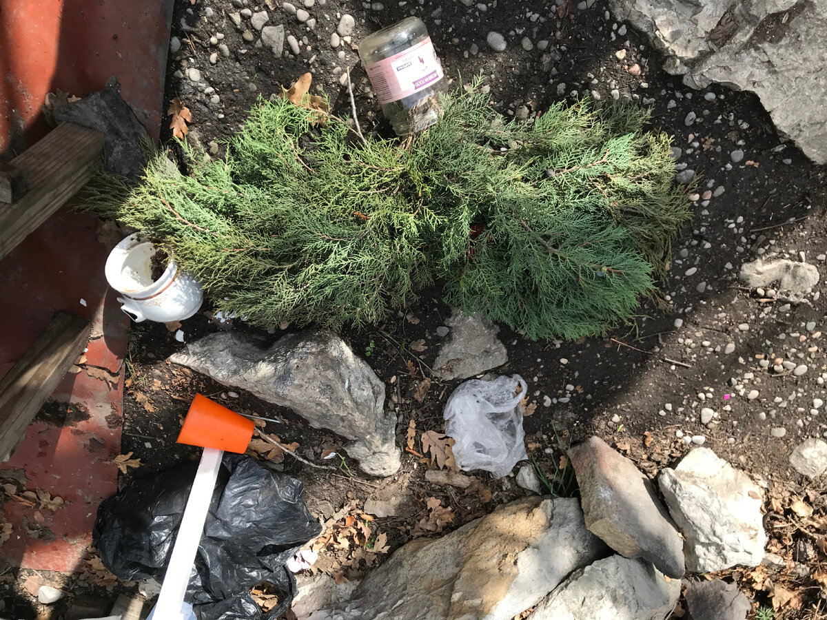 Ветер снес все со стола