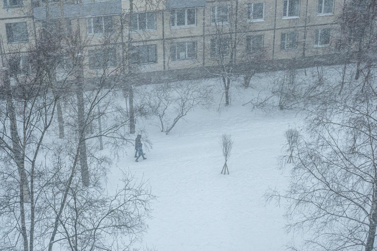 Фото: Олег Золото / MR7