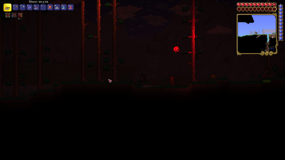     Terraria    2024