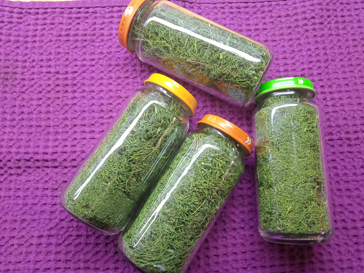 Для хранения укропа решила воспользоваться баночками из под детского питания, крышки надо покрасить 🎨 чтобы вид приличный был