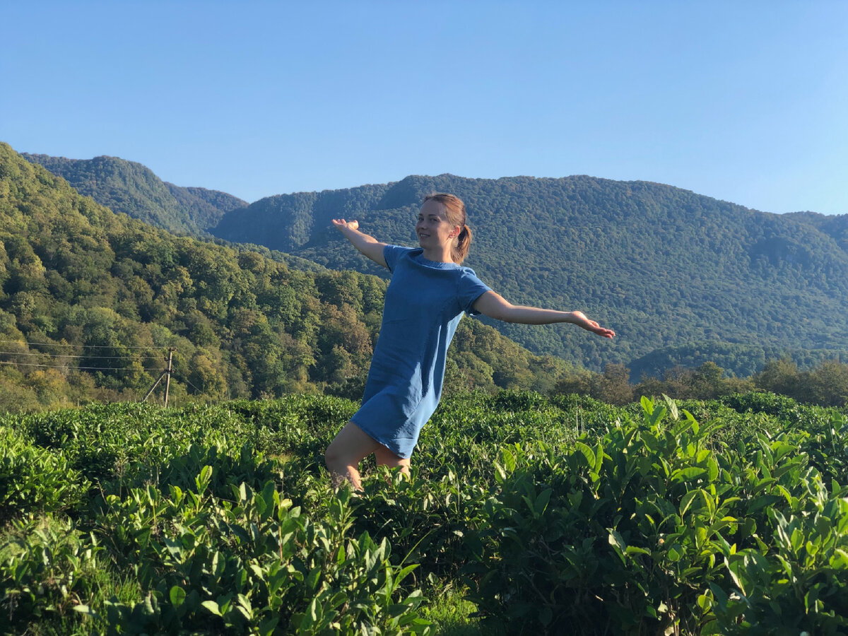 Где-то в горах, посреди чайной плантации