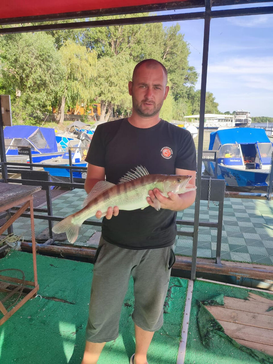 Егерь с Прохладной