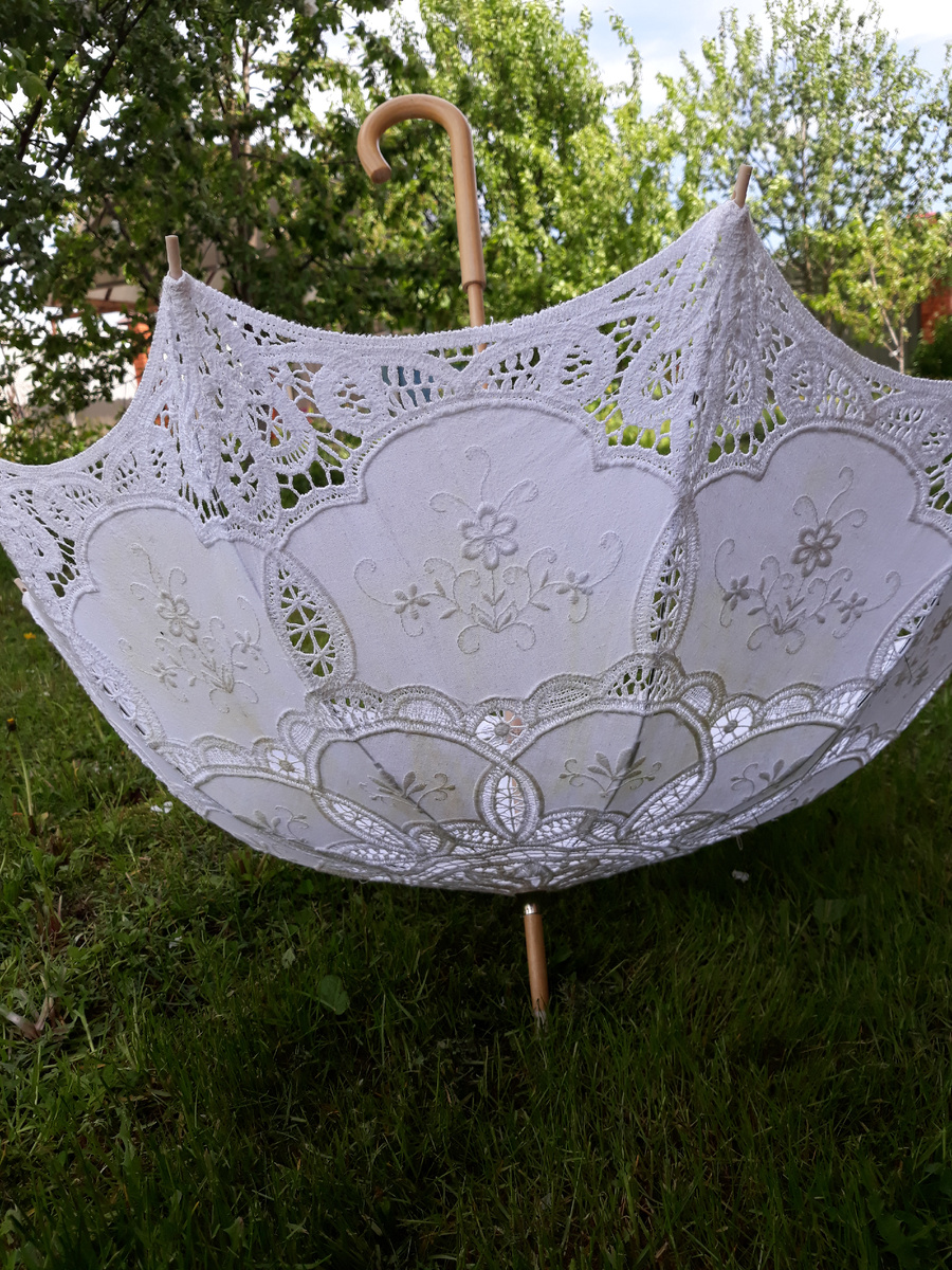 Лето и дача. Красота! Фото автора для иллюстрации к тексту.