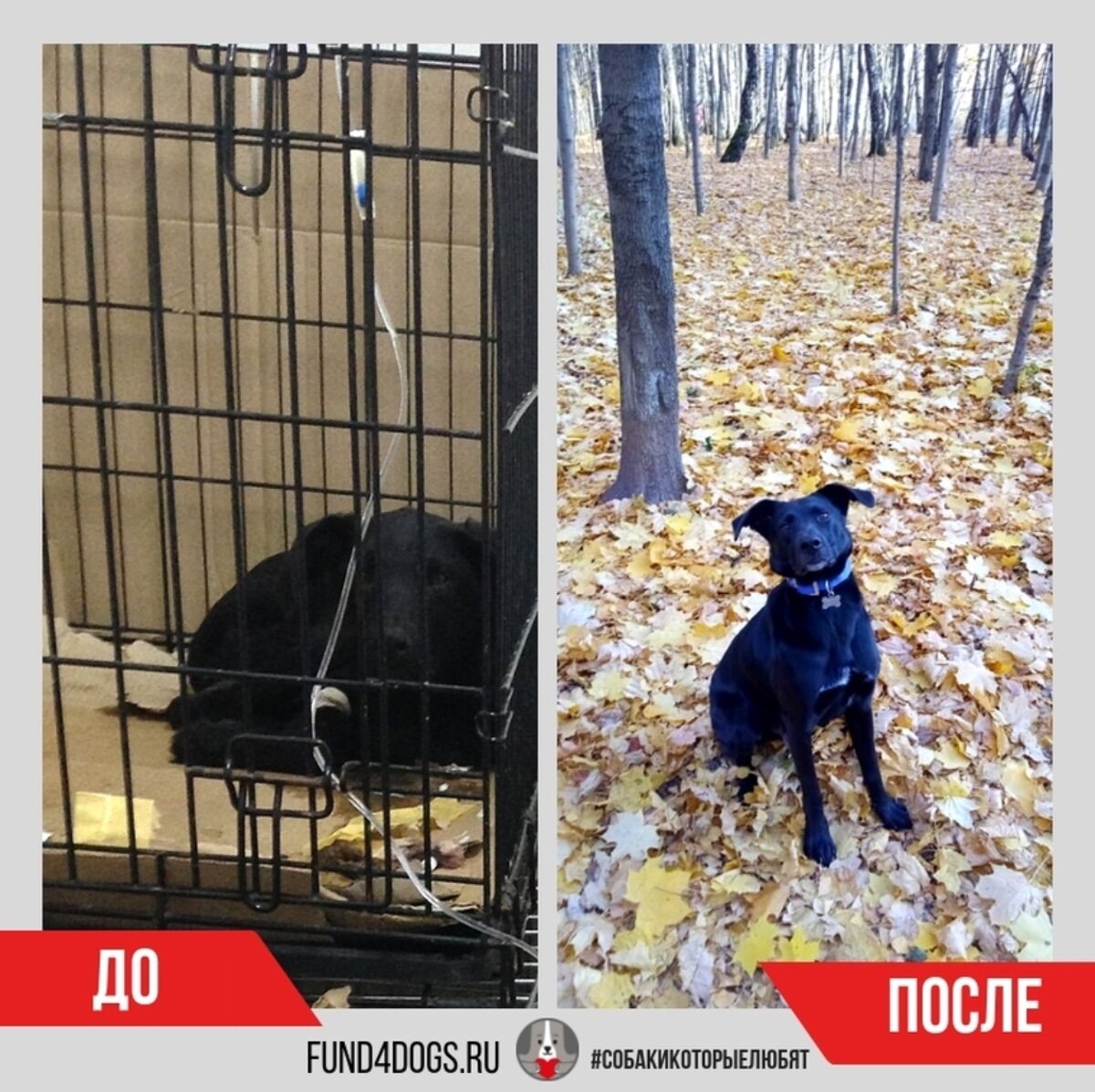 Фото из архива фонда