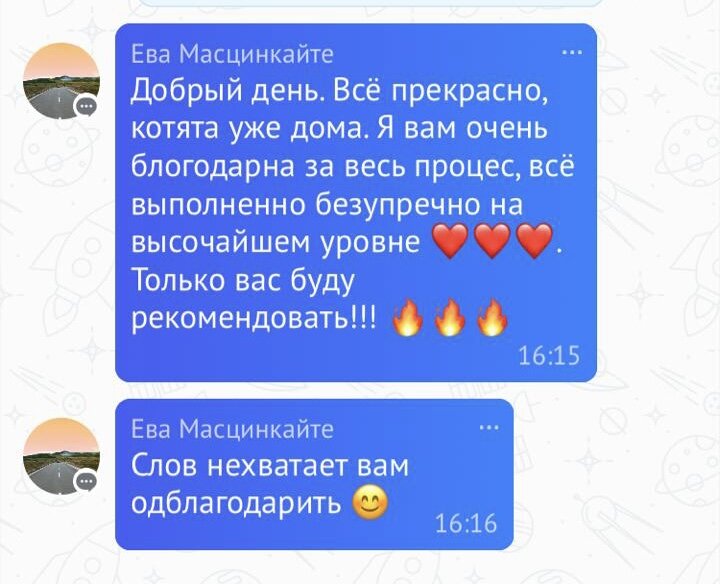 Отзыв из Инстаграм