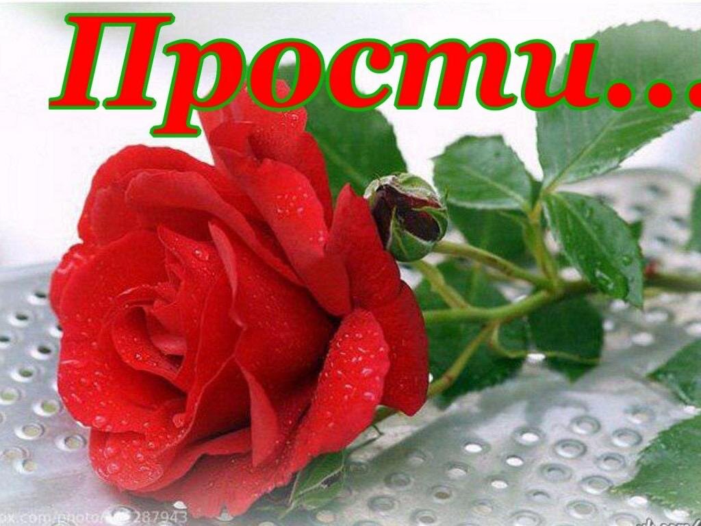 Прости с цветами картинки