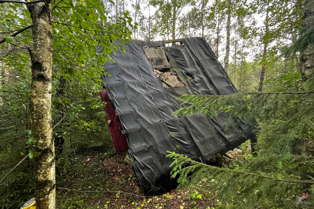 «Хижина» в лесу. 