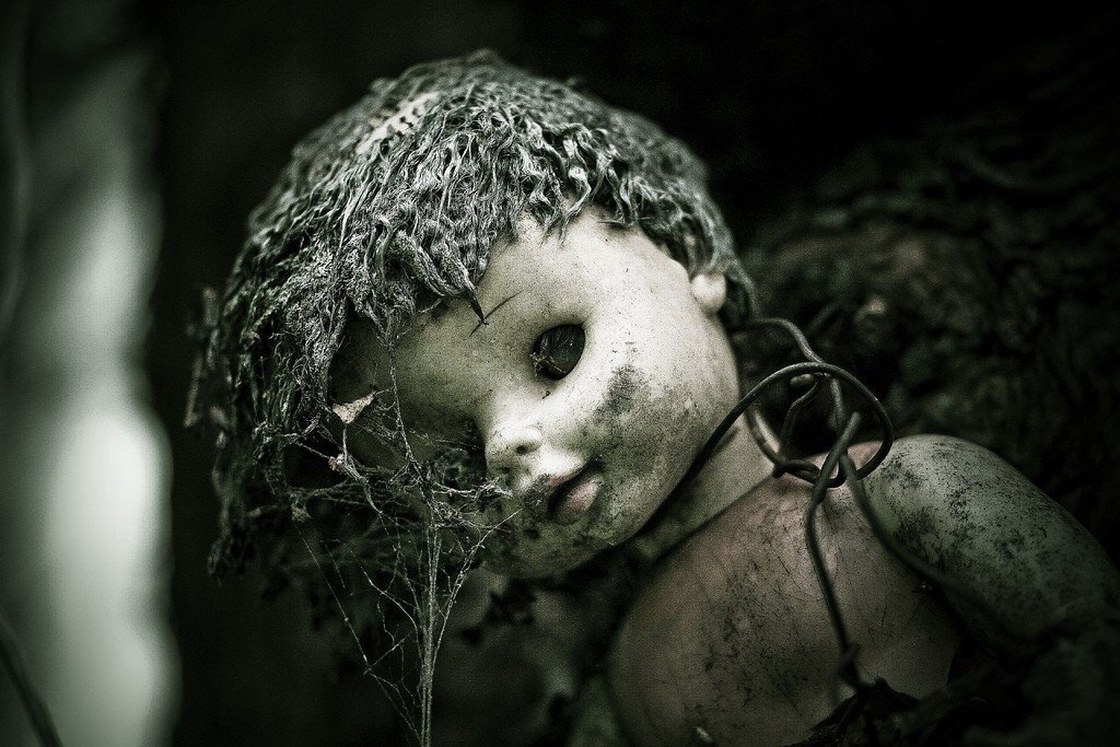 фотографии из свободного доступа.