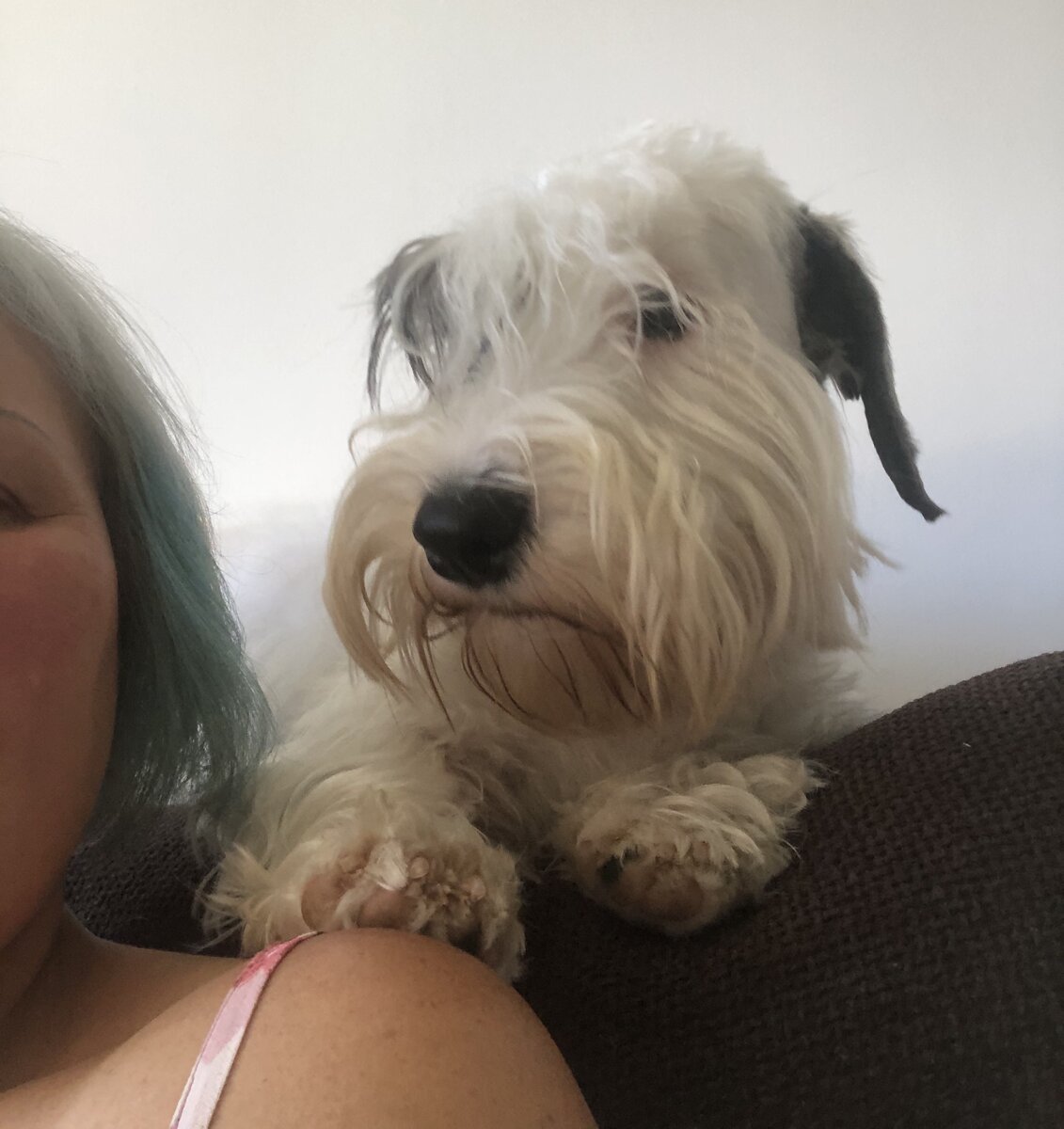 Требуем поцелуев!