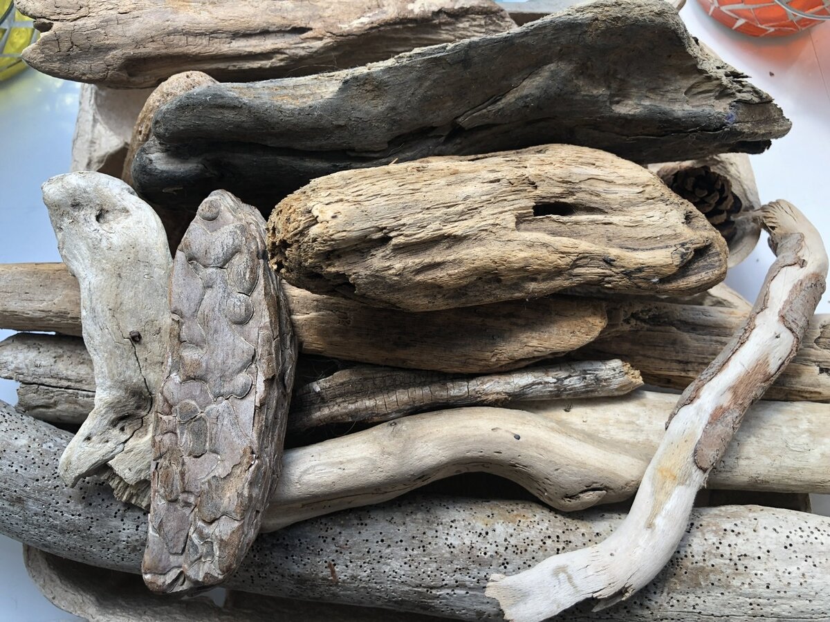 деревяшки, привезенные на память с разных морей.