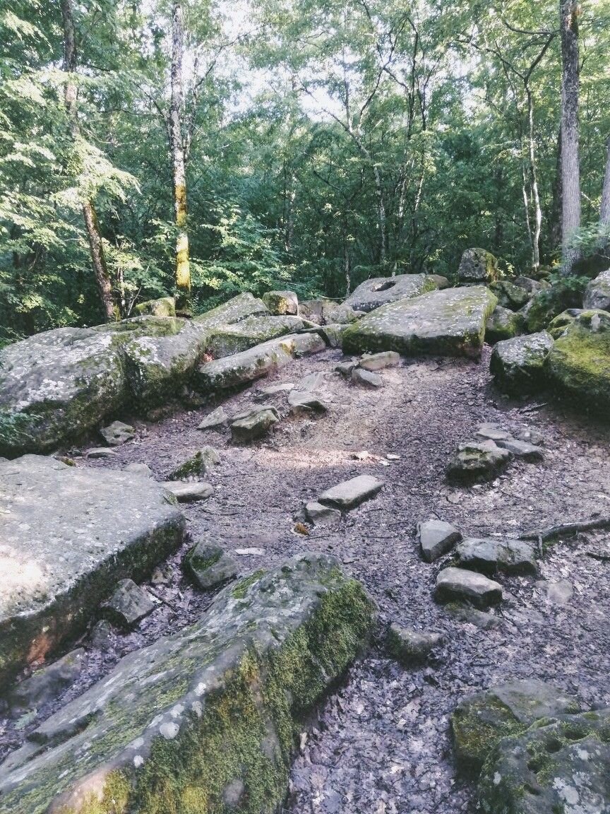 Долина Реки Жане, 2019