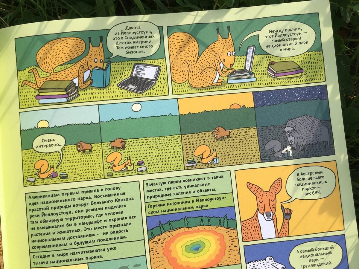 Несколько разворотов из книги