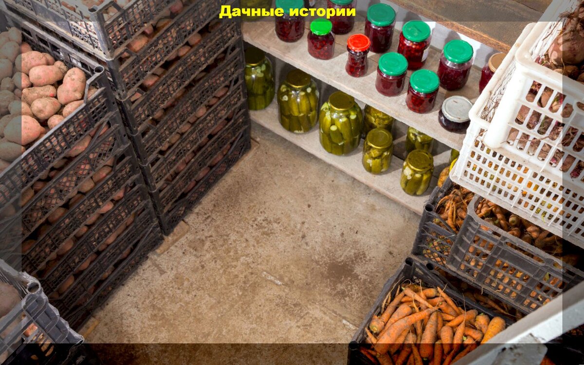 https://vk.com/photo-159774511_457248668