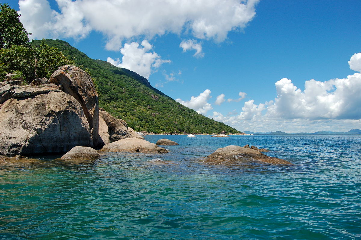 Фото с сайта commons.wikimedia.org