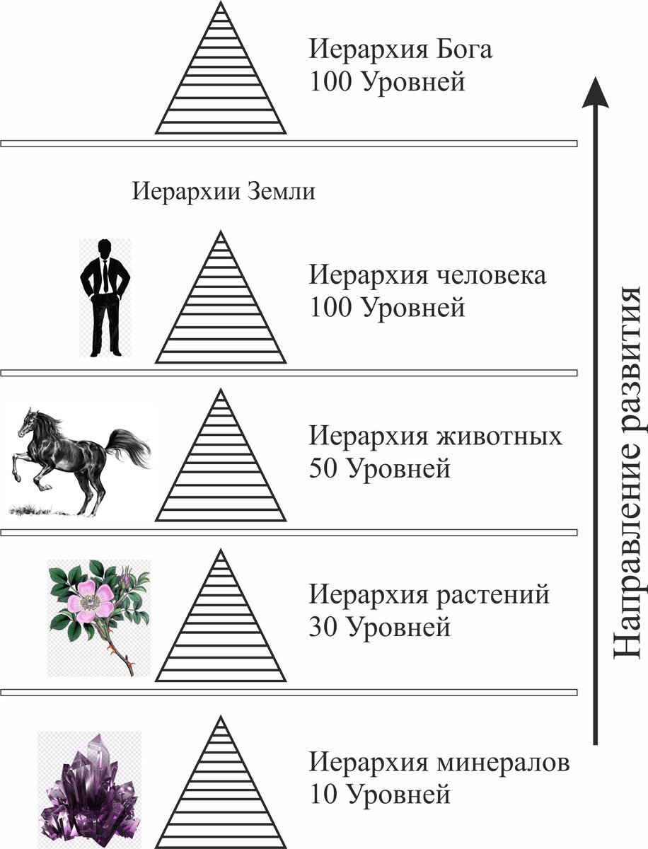 Иерархии. Уровни развития человека. | Виктор Сидоров | Дзен