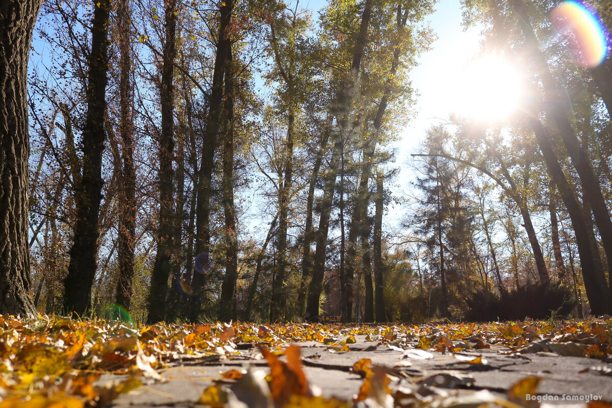 Осень в Краснодаре  