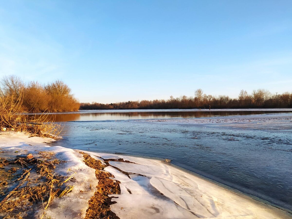 Зимой на берегу реки. Фото сделано на телефон знакомым фотографом-любителем.