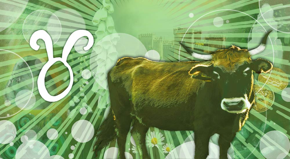 bing images: Гороскоп для Тельца на 20, 21, 22, 23, 24, 25, 26 декабря 2021 года