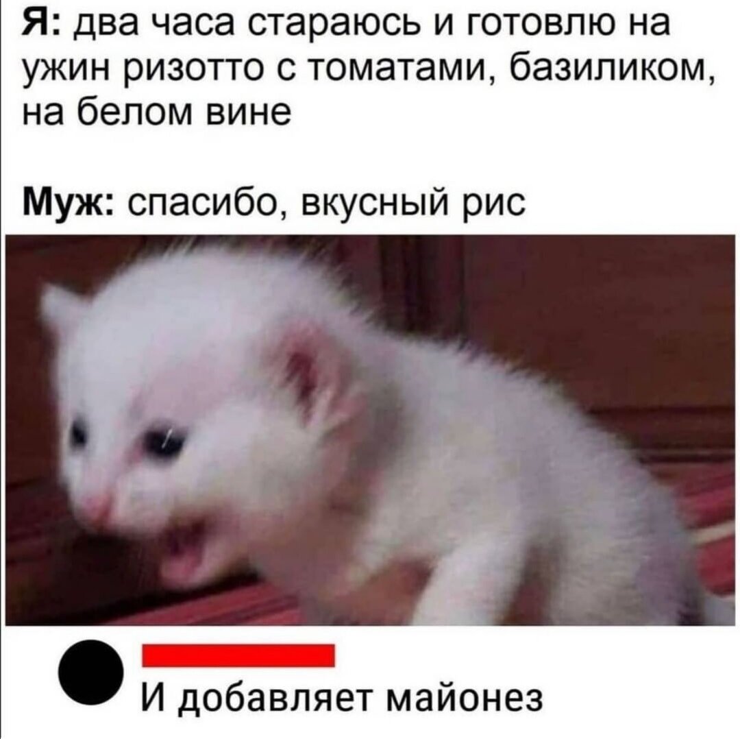 Если Надьке для блюда нужно вино, то готовая на кухне только она😸😸😸