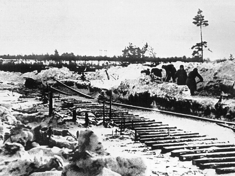 Прокладка трассы через торфяники