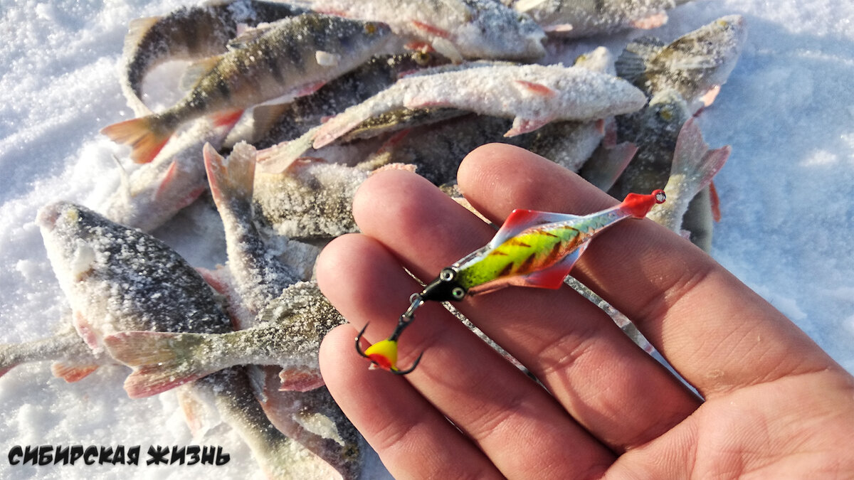 Зимняя блесна AQUA Скат