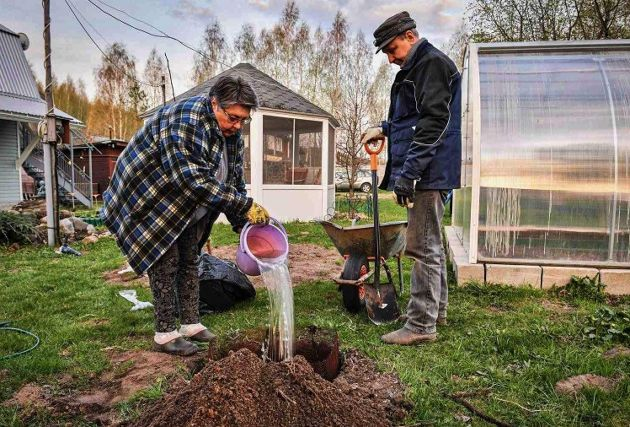 Хозяева садового участка. Хозяйство на даче. Дачники. Владелец садового участка.