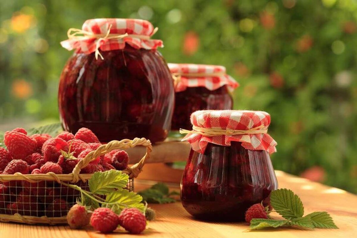 Фото из свободных источников