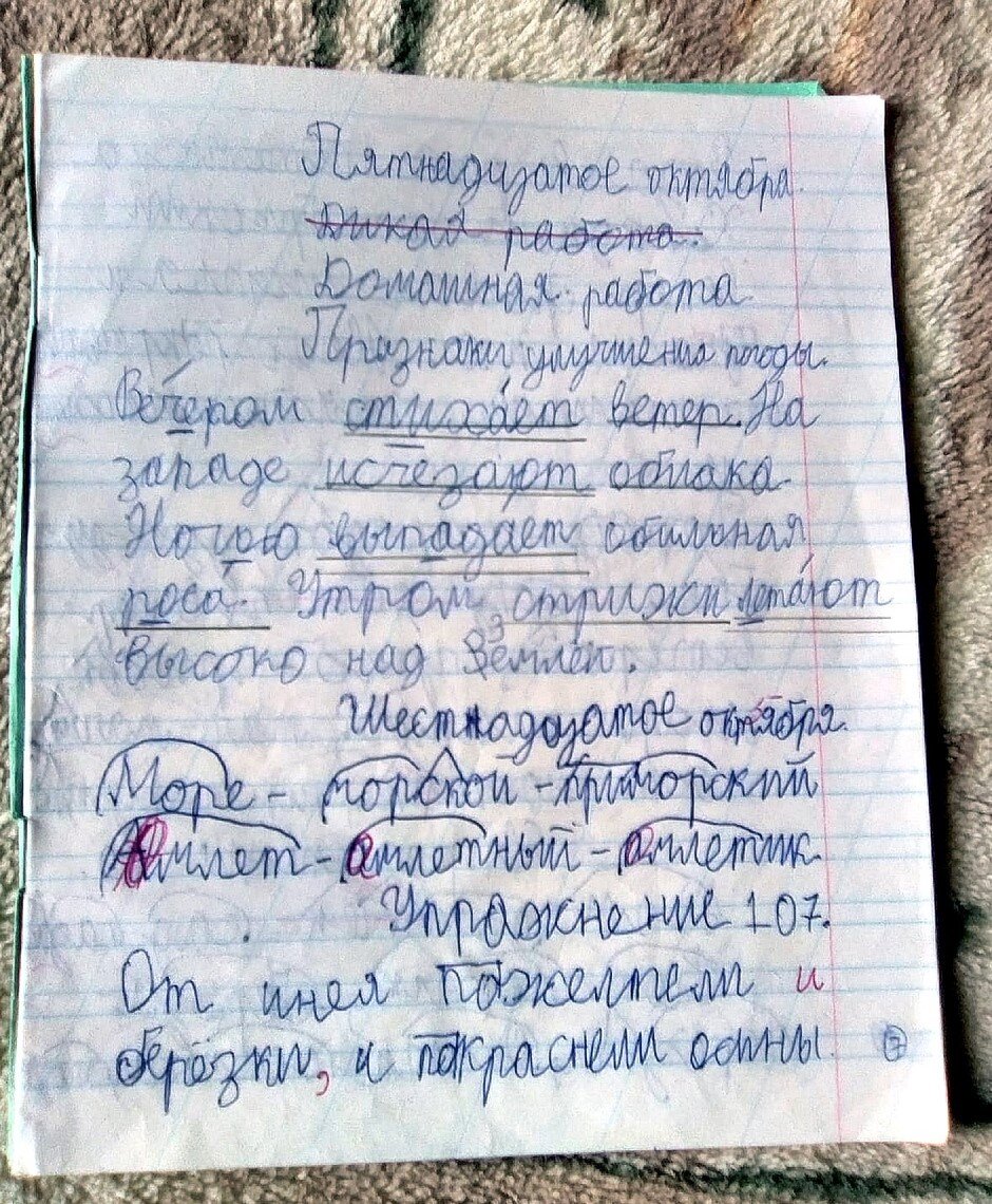 Дикая работа