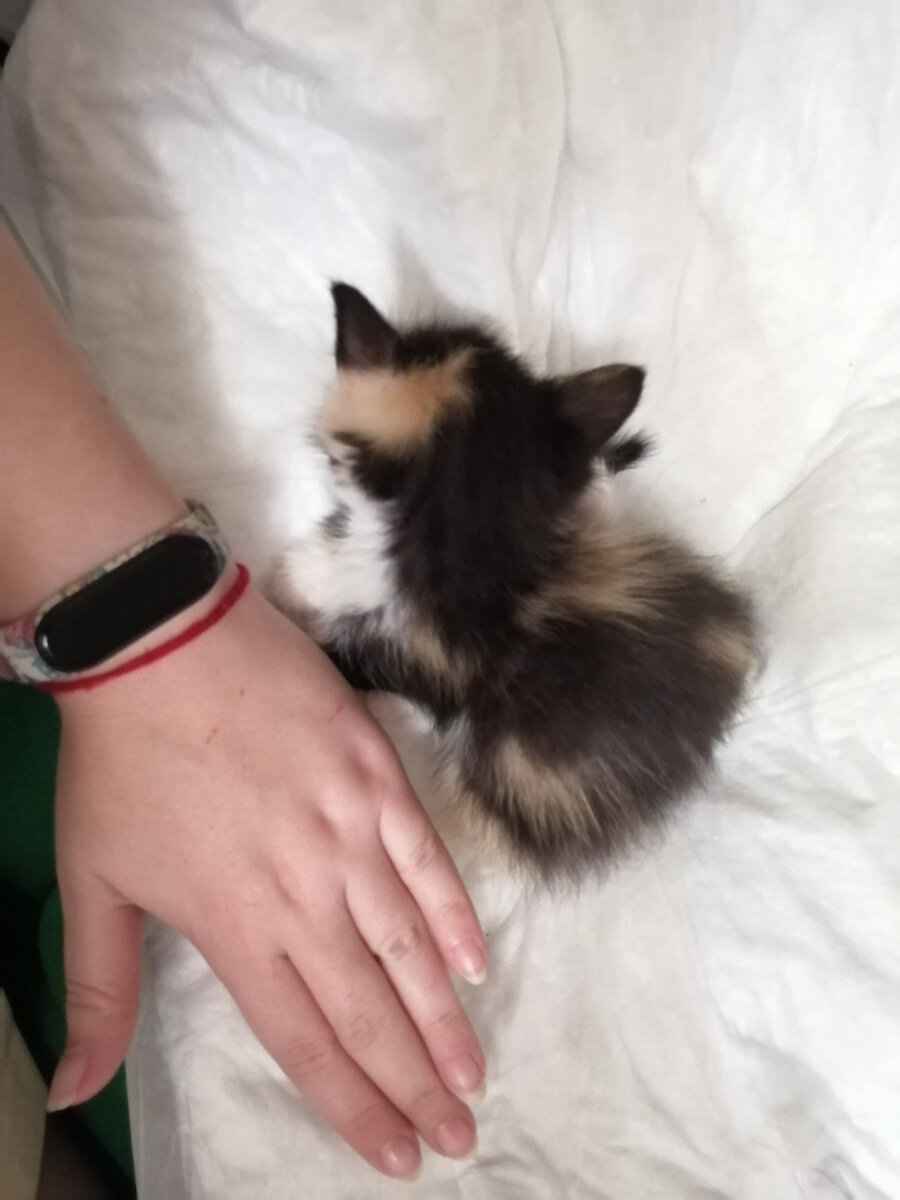 Малышка размером с мою руку