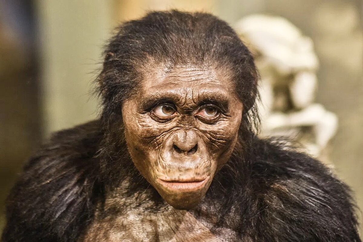 Такими глазами смотрят на своих жён, если словили)