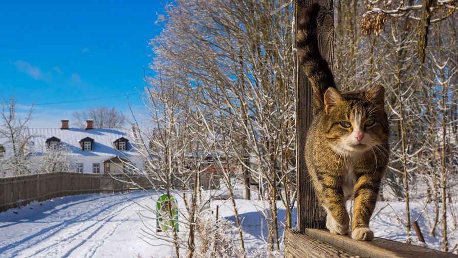 Москвичи могут простудиться и заработать головные боли