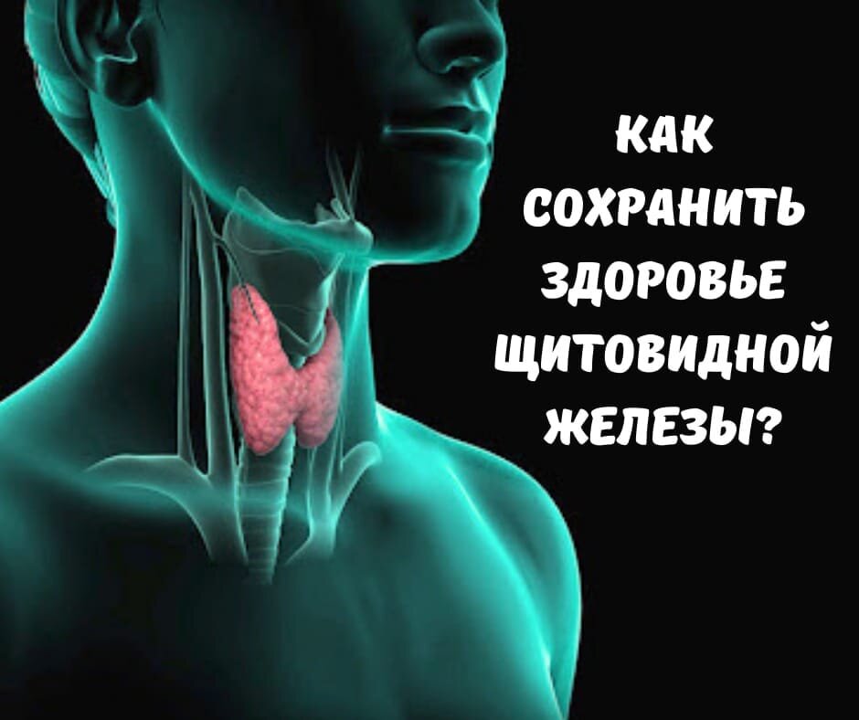 Здоровая и больная щитовидка. Тиреотоксикоз щитовидной железы зоб. Заболевания щитовидной железы. Здоровая щитовидная железа. Щитовидка жара.