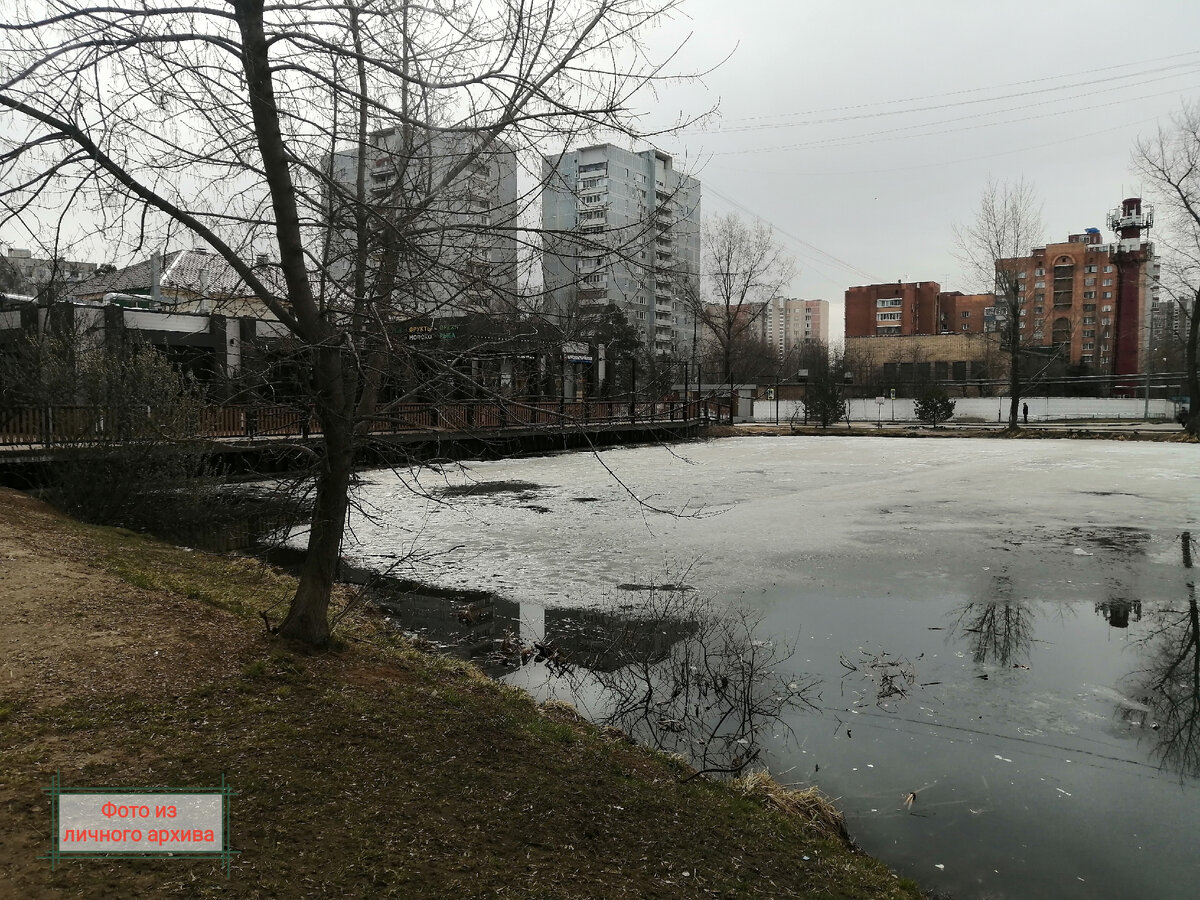 В городе календарная весна... Но с наступлением весенних деньков многие хотят уехать от городской суеты... КАЖДЫЙ РЕШАЕТ ДЛЯ СЕБЯ САМ. И если есть возможность, надо отдыхать... СТОИТ ЛИ ЕХАТЬ ВЕСНОЙ В СОЧИ? ДА, нужно ехать. Как это сделали наши друзья (увы, нам сейчас не до отдыха)... И МЫ РАДЫ ЗА НИХ.... И МЫ ПОЛУЧИЛИ ПОЛОЖИТЕЛЬНЫЕ ЭМОЦИИ ОТ ДРУЗЕЙ,ОТ ИХ ОТДЫХА! 