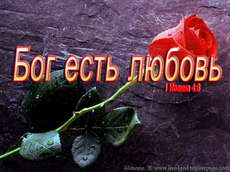 Картинка взята из источника Яндекса.