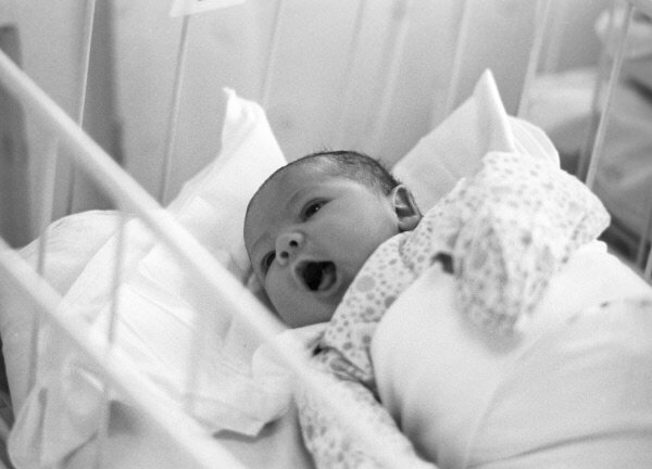 Фото из Интернета. 