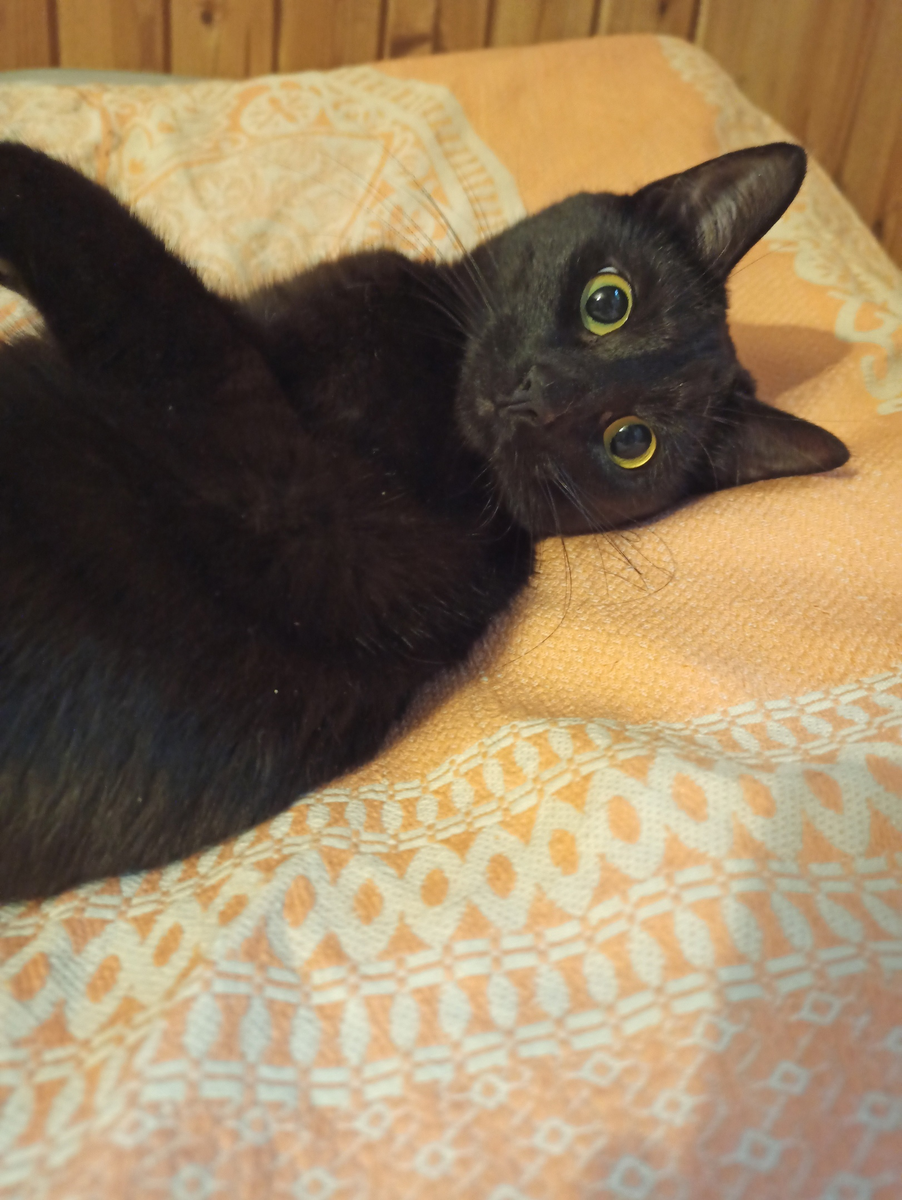 Черри сейчас