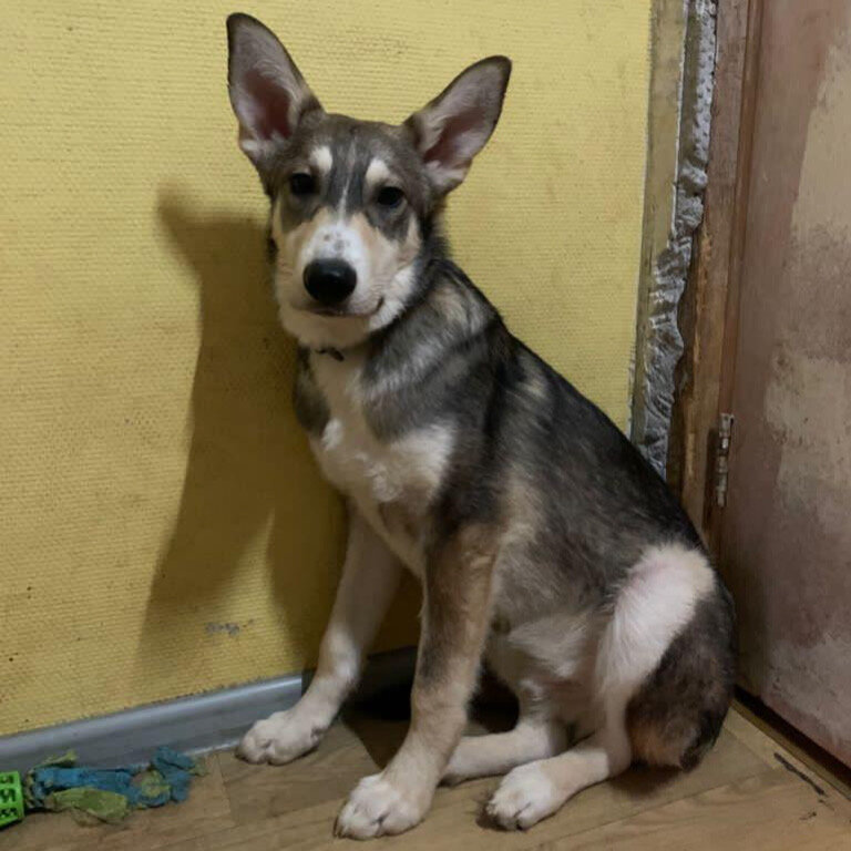 Буду сидеть в углу, фиг вы меня отсюда выкурите