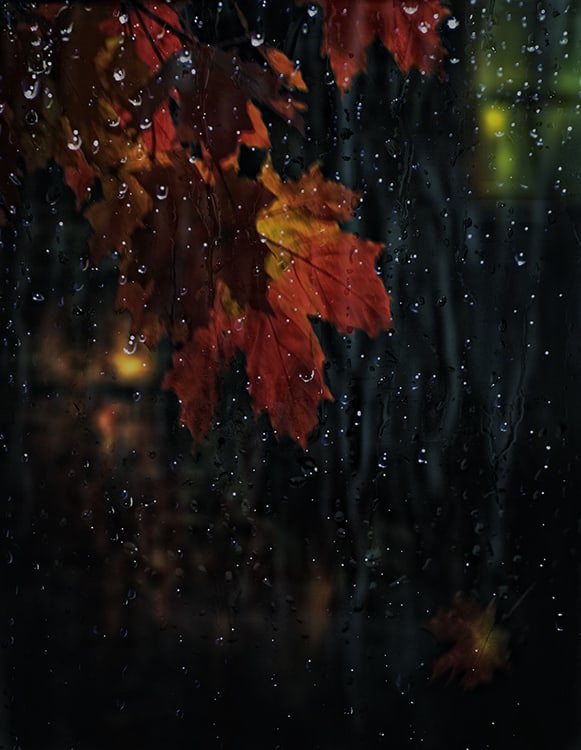 Вечер дождь осенняя. Осенний дождь. Дождь осенью. Дождливая осень. Дождливый осенний вечер.