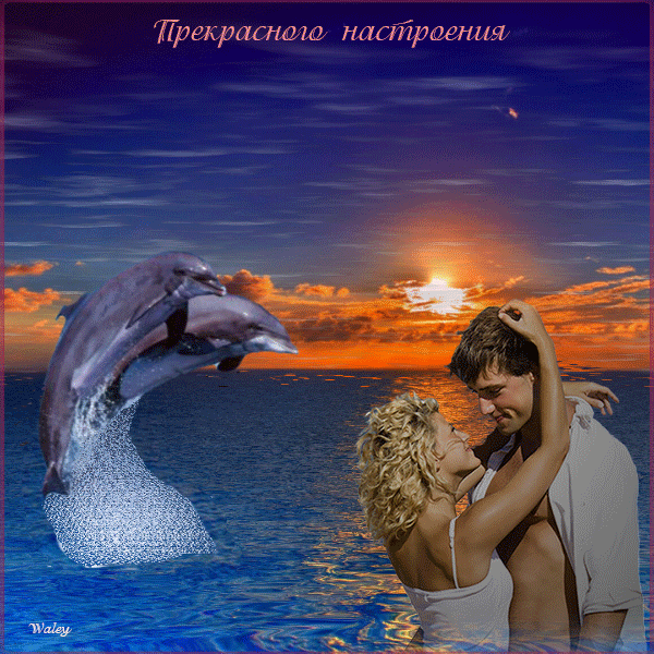 Фото из инета