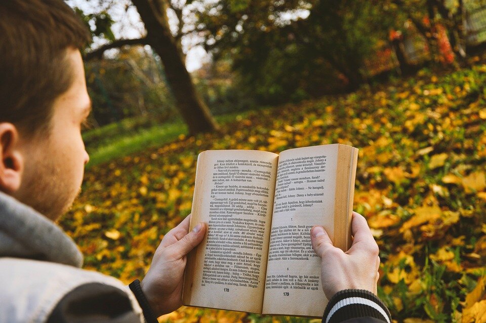 Как думаете, кому и зачем может прийти в голову уничтожать книги? Даниэль Семпере узнал ответ на этот вопрос. Источник фото: pixabay.com