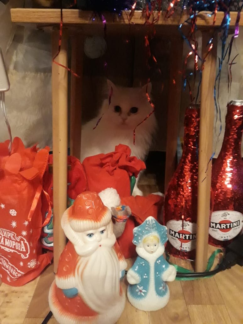 Это собственно Ася