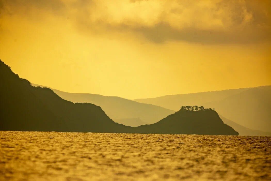 Фото: Андрей Михайлов