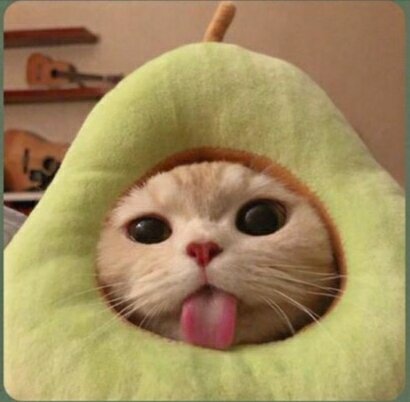 Я рад приветствовать Вас на моём канале! 