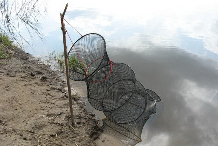 Во время ловли содержать рыбу в просторном и «мягком» садке