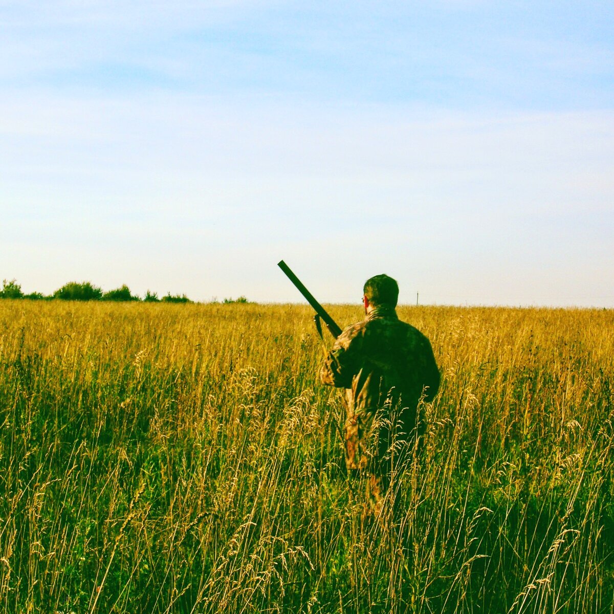 Охота на фазана в Подмосковье