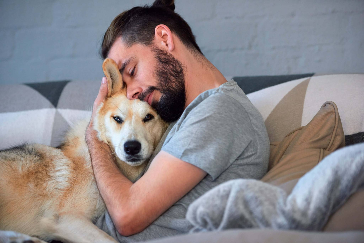 Perros humano apareamiento animal