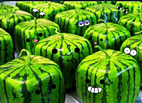 Арбузы они такие :)