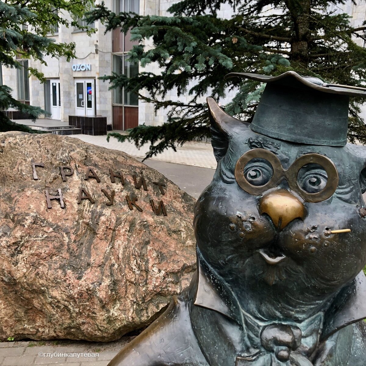 Кот ученый обнинск фото